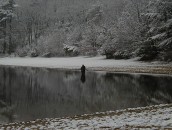 Waldenfisherman